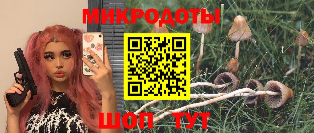 Городец  Галлюциногенные грибы прущие грибы  Вход с VPN 