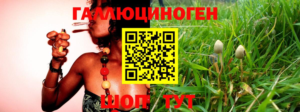 Псилоцибиновые грибы MAGIC MUSHROOMS Городец